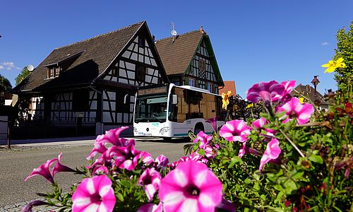 Ein Bus fährt durch ein Dorf im Elsass