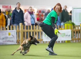Eine Frau und ihr Hund bei einer Vorführung im Rahmen des Show-Programms bei der Messe "TIERisch gut"