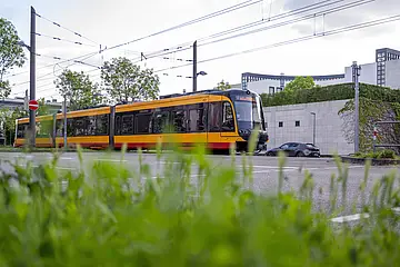 Eine Trambahn der VBK fährt durch die Brauerstraße. Im Hintergrund ist das Gebäude des Generalbundesanwalt beim Bundesgerichtshof zu sehen.
