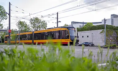 Eine Trambahn der VBK fährt durch die Brauerstraße. Im Hintergrund ist das Gebäude des Generalbundesanwalt beim Bundesgerichtshof zu sehen.