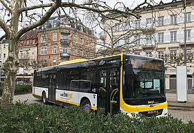 Ein Bus in den Farben Schwarz, Gelb und Weiß auf dem Augustaplatz in Baden-Baden. Im Hitergrund sind Häuser zu sehen, links ein Baum.