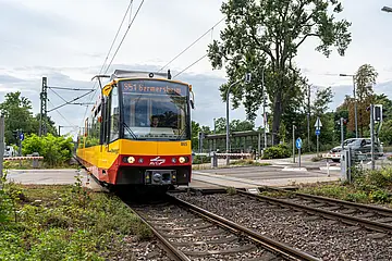 Eine Stadtbahn der Linie S51 fährt in der Südpfalz über einen Bahnübergang. 