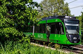grüne Stadtbahn der AVG auf einer Bahnstrecke. Links im Bild befinden sich Bäume