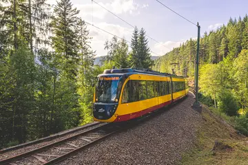 Eine Stadtbahn der Linie S8 fährt durch einen bewaldeten Streckenabschnitt auf der Murgtalbahn