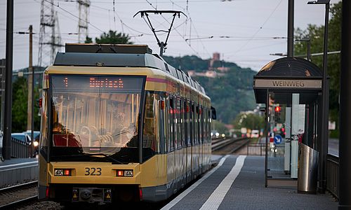 VBK modernisieren in den Sommerferien Bahn-Infrastruktur entlang der Tramlinie 1