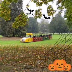 Das Foto zeigt die Schlossgartenbahn, gezogen von einer historischen Posrsche-Lok, bei Ihrer Fahrt durch den Schlossgarten. In das Foto sind grafische Elemente integriert, die Halloween-Motive zeigen: Kürbisse, ein Spinnennetz und Fledermäuse