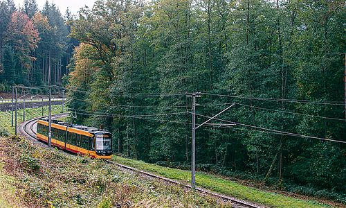 Eine Stadtbahn der AWV durchquert einen bewaldeten Streckenabschnitt im Albtal.