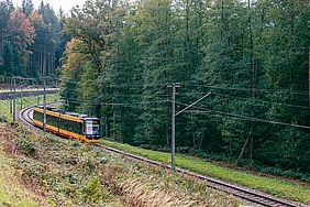 Eine Stadtbahn der AWV durchquert einen bewaldeten Streckenabschnitt im Albtal.