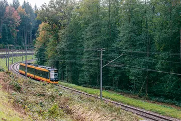 Eine Stadtbahn der AVG fährt durch das Albtal. Neben der Strecke stehen Bäume