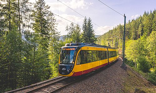 Eine AVG-Stadtbahn druchquert einen bewaldeten Streckenabschnitt auf der Murgtalbahn.