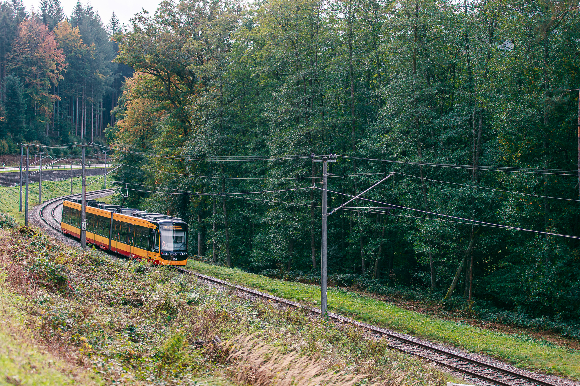 Eine AVG-Stadbahn fährt durch das Albtal. Neben der Bahnstrecke stehen Bäume.
